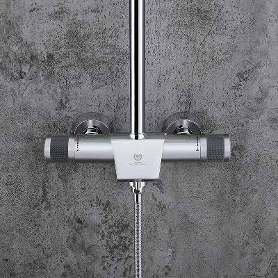 Gaosi Shower Chrome