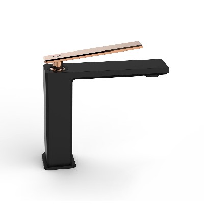 6737 black+rose gold